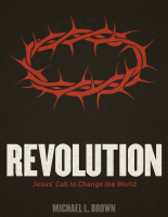 Revolution_jesus_call_to_change.epub